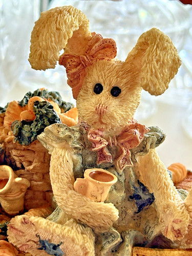 Boyds bear carrot - "carrot, juice"
